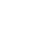 Virgen LV icon